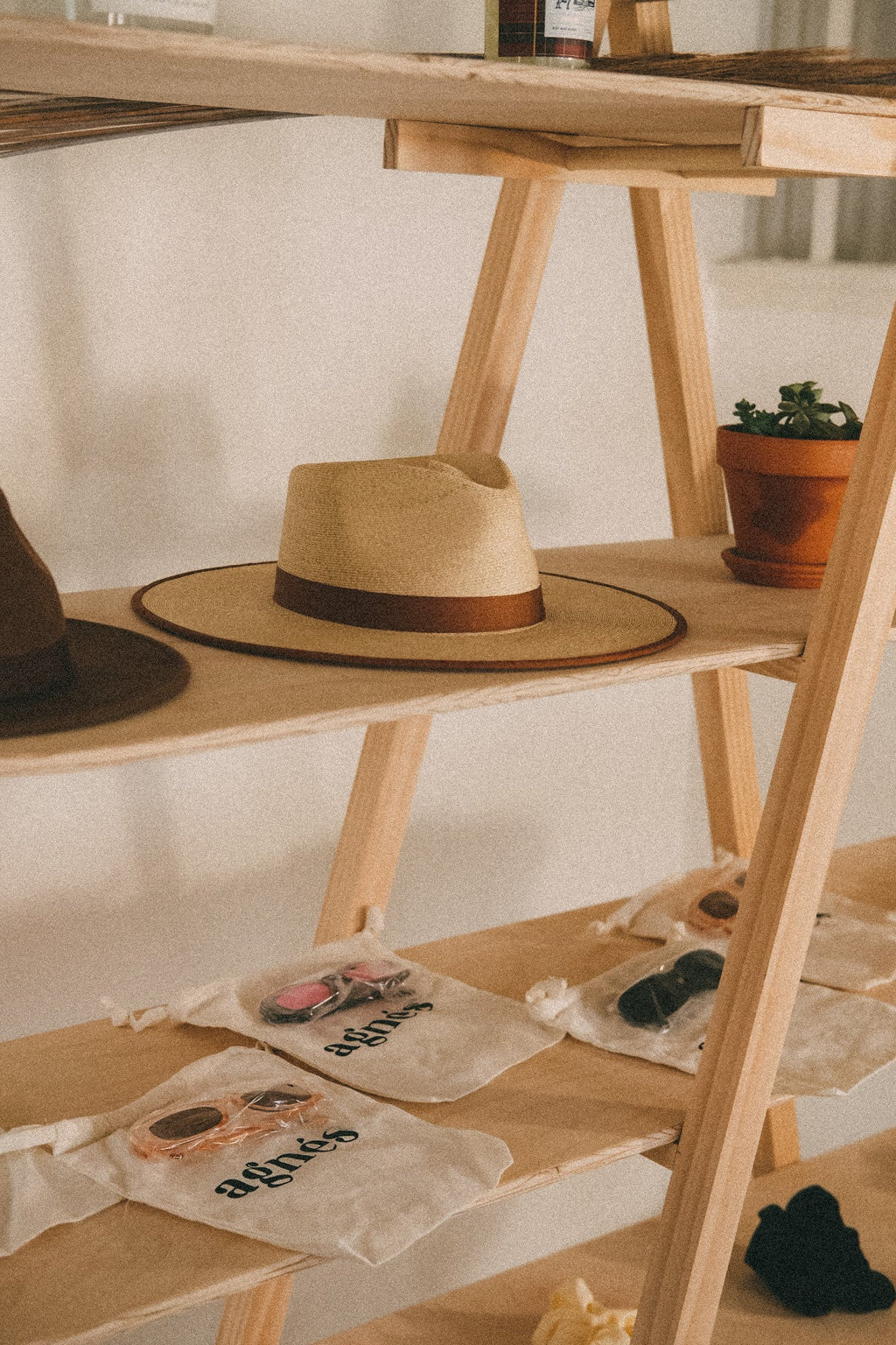 Close-up of a straw hat and potted plant on a wooden shelf, with packaged accessories on the shelf below.